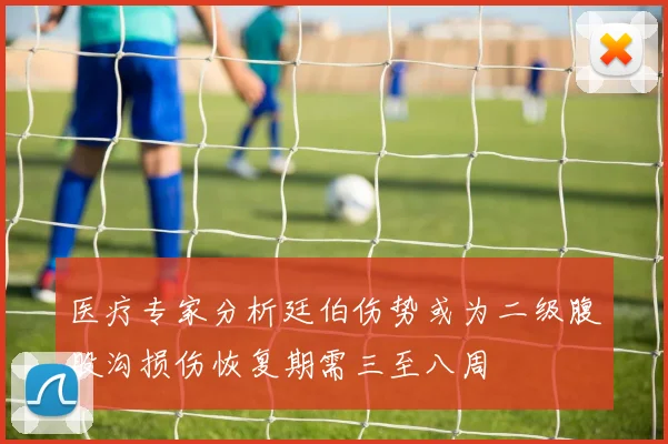 医疗专家分析廷伯伤势或为二级腹股沟损伤恢复期需三至八周